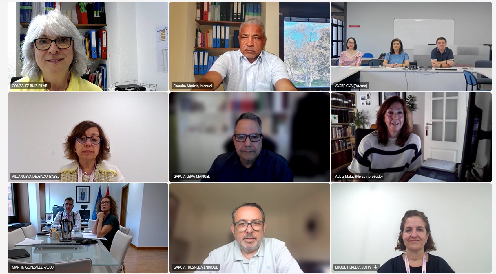 Imagen de participantes en la reunión